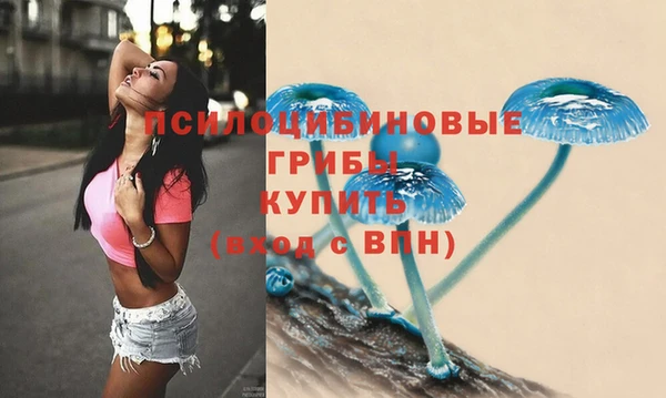 метадон Нея